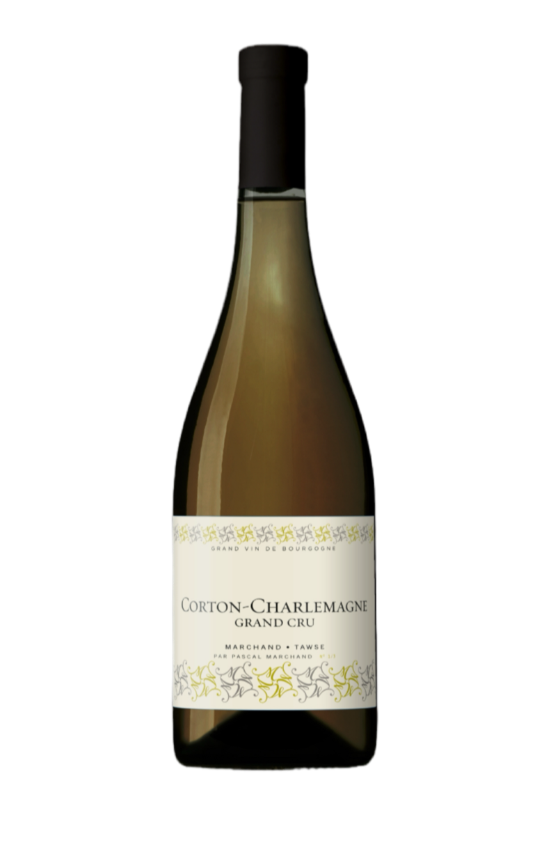 Corton-Charlemagne Grand Cru – in vino sitis