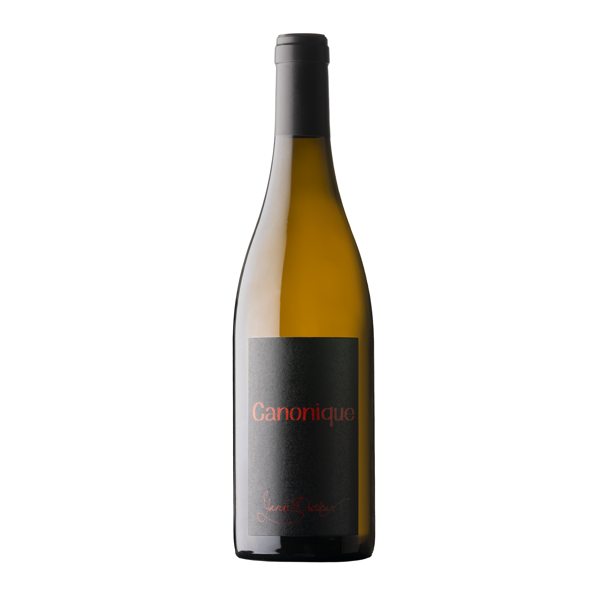 Canonique – in vino sitis Canonique – in vino sitis